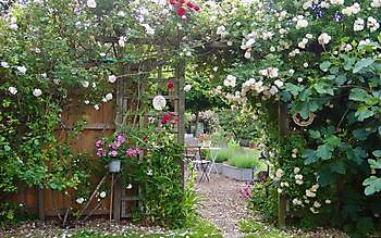 Roos van Hijken - Het Tuinpad Op / In Nachbars Garten