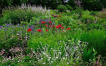 Roos van Hijken - Het Tuinpad Op / In Nachbars Garten