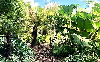 Tuingoed Foltz - Het Tuinpad Op / In Nachbars Garten