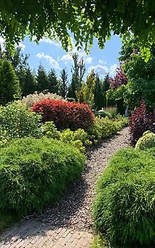 De Vier Handen - Het Tuinpad Op / In Nachbars Garten