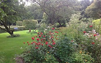 Garten Chris Bruinsma - Het Tuinpad Op / In Nachbars Garten