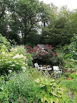 ''Hortus mille Plantarum'' (Garten der tausend Pflanzen) - Het Tuinpad Op / In Nachbars Garten