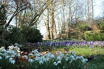 Op 't Kloosterveen - Het Tuinpad Op / In Nachbars Garten