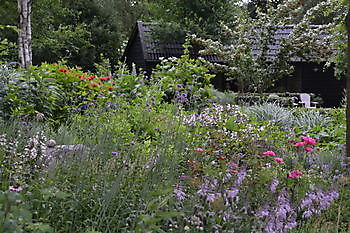 Heerloo in de Landouwen - Het Tuinpad Op / In Nachbars Garten