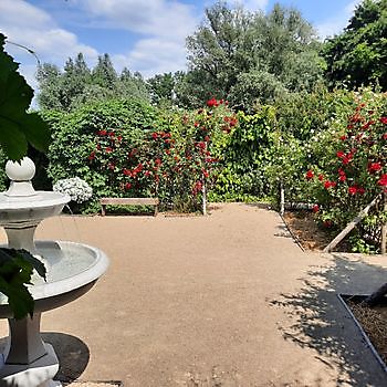 De Cleyne Hortus - Het Tuinpad Op / In Nachbars Garten