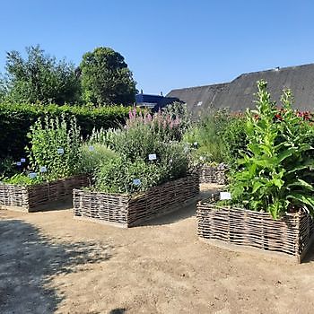 De Cleyne Hortus - Het Tuinpad Op / In Nachbars Garten