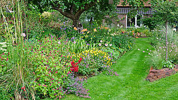 Blumengarten - Het Tuinpad Op / In Nachbars Garten