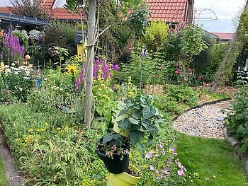 Sander Butenstuv - Het Tuinpad Op / In Nachbars Garten