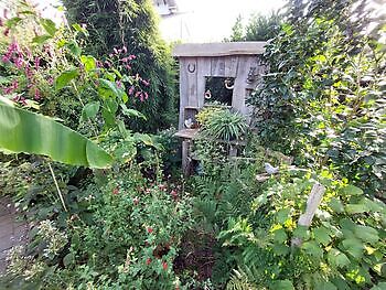 Garten zum grünen Daumen - Het Tuinpad Op / In Nachbars Garten