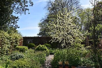 De Boschplaatse - Het Tuinpad Op / In Nachbars Garten